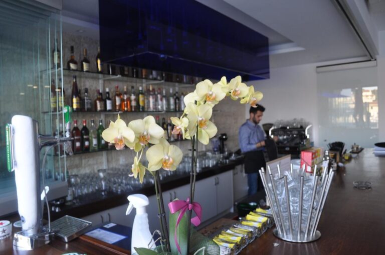 DIR_Hotel_Melina_Boutique_Hotel_Kassiopi_Corfu_Greece (3)