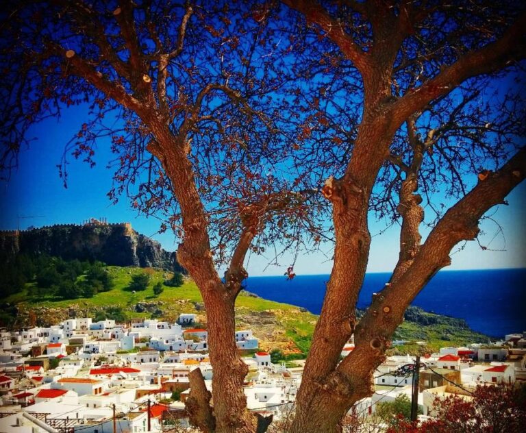 Little_Lindos_Studios_Lindos_Rhodes_Greece (10)