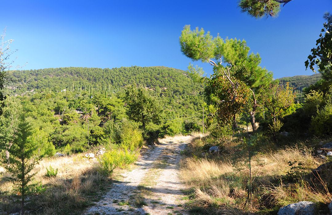 The_Regency_Cottage_Islamlar_Turkey (18)