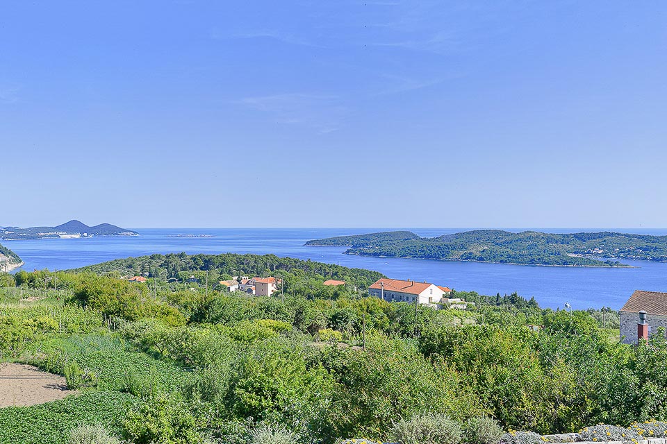 Villa_Tony_Dubrovnik_Croatia