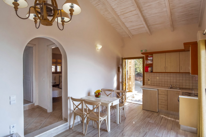 Villa_Apolis_Executive_Parga_Greece (10)