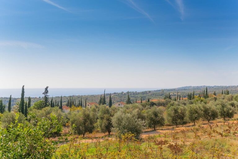Villa_Margarita_Trapezaki_Kefalonia_Greece (11)