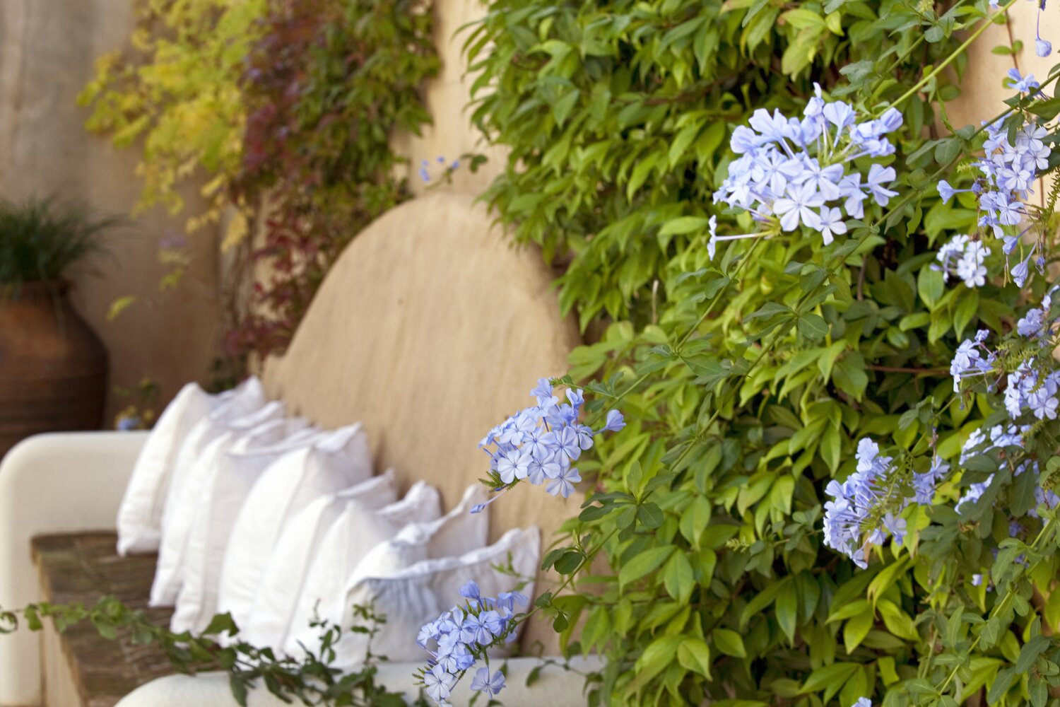 Villa_Ophelia_Avlaki_Corfu_Greece (19)