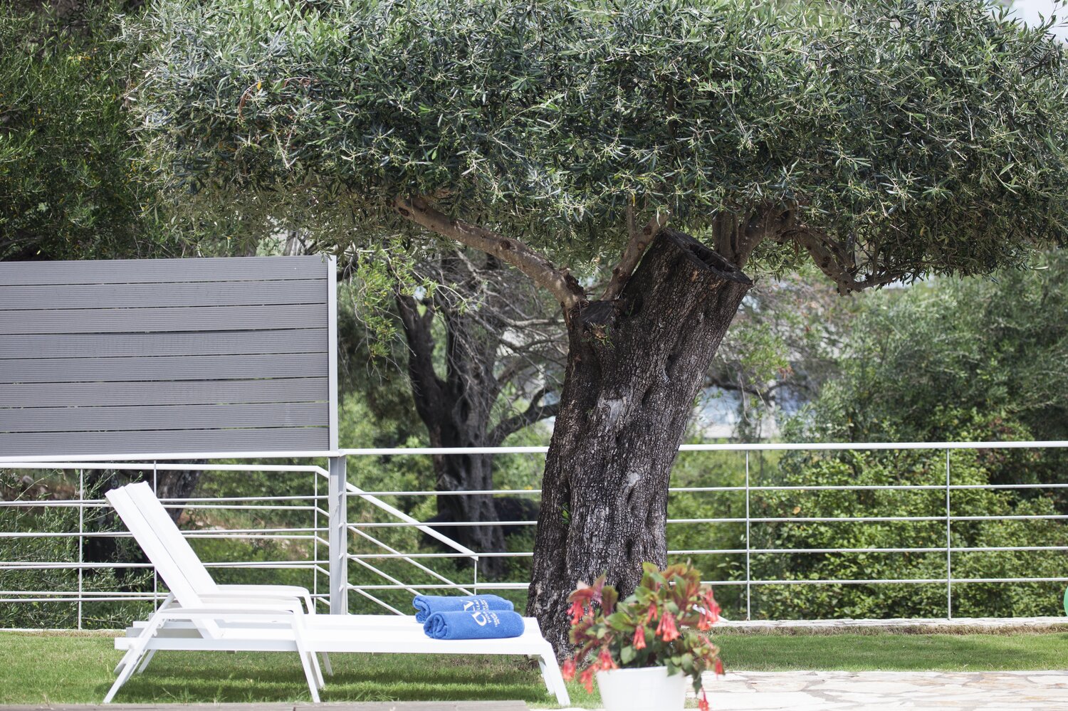 Villa_Penelope_Agni_Corfu_Greece (20)