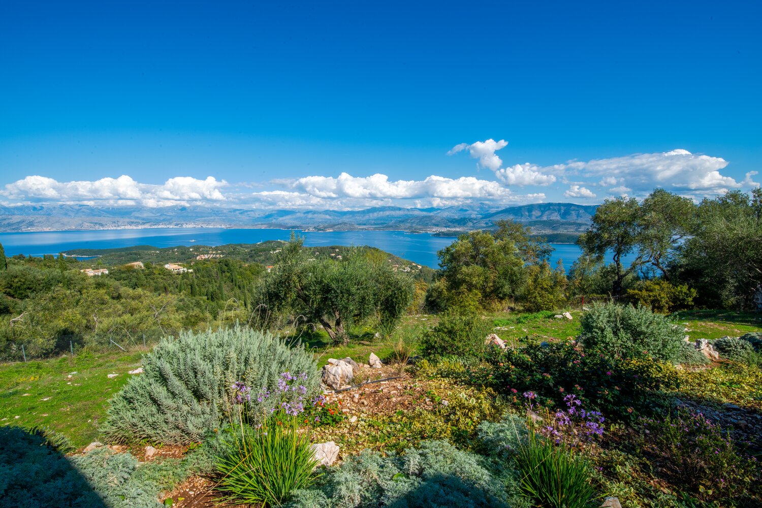 Villa_Yaneleni_Sinies_Corfu_Greece (27)