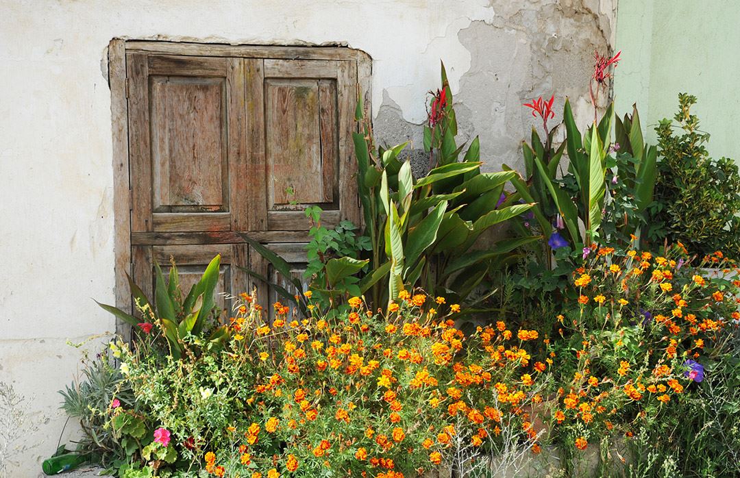 Villa_Yaz_Evi_Islamlar_Turkey (2)