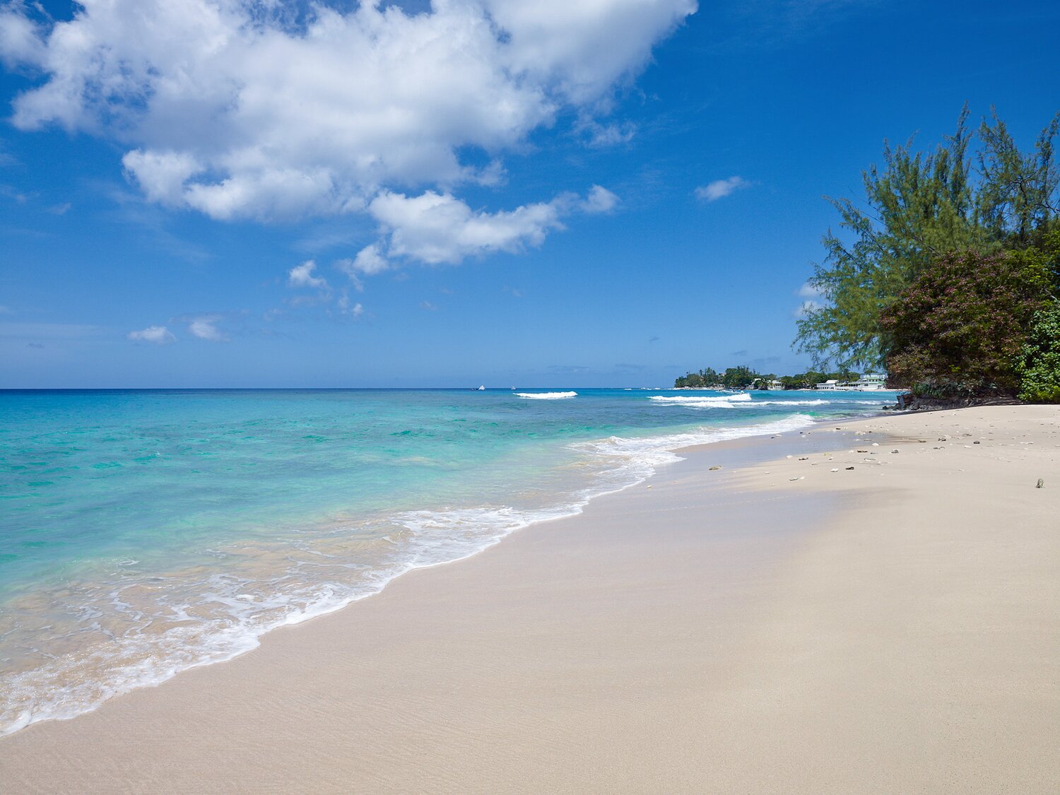 Villa_High_Trees_St_Peter_Caribbean (1)