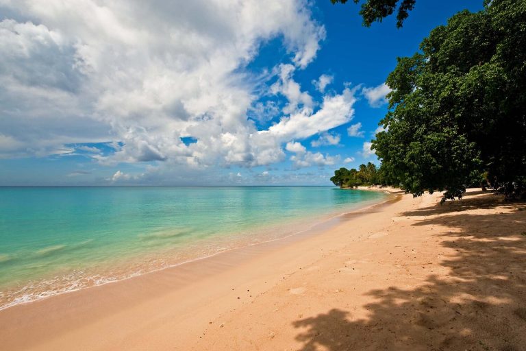 Villa_Jessamine_St_Peter_Barbados_Caribbean (10)