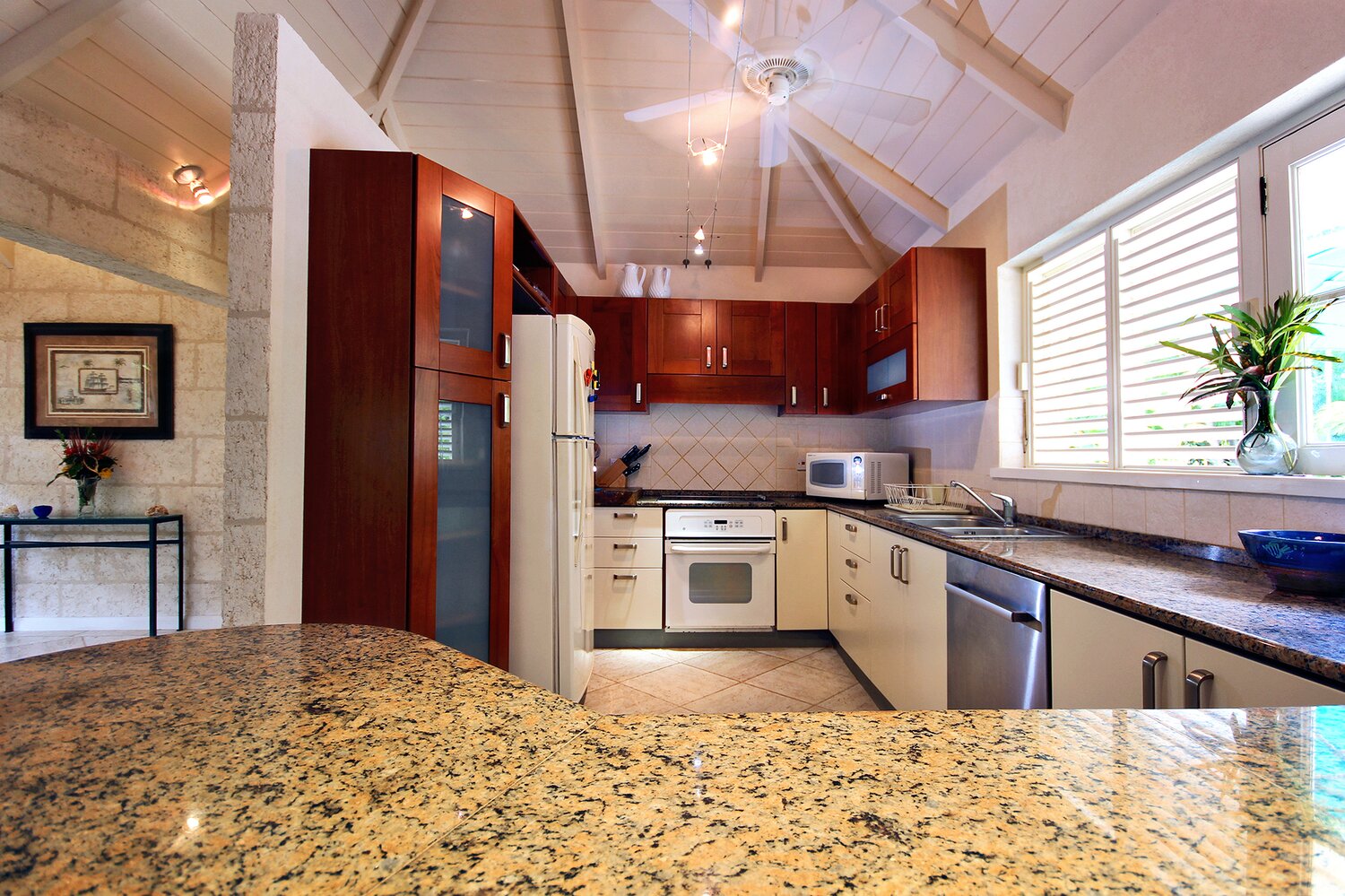Villa_Jessamine_St_Peter_Barbados_Caribbean (15)
