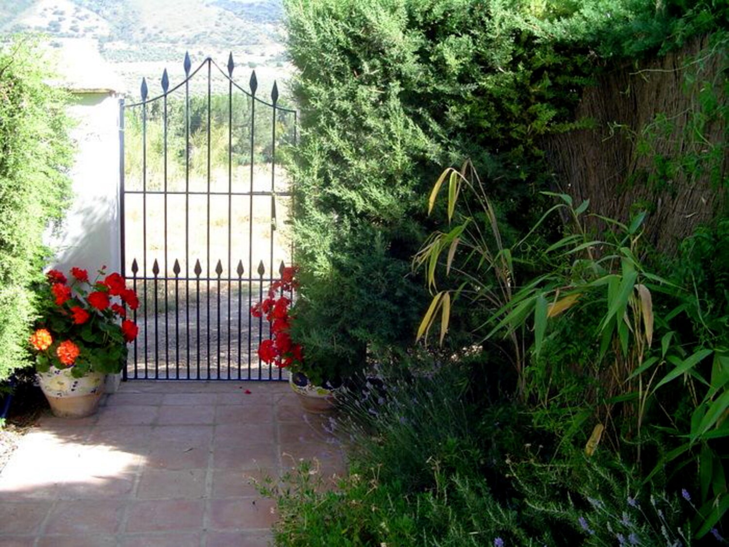 Villa_La_Rondita_Ronda_Costa_Del_Sol_Spain (5)