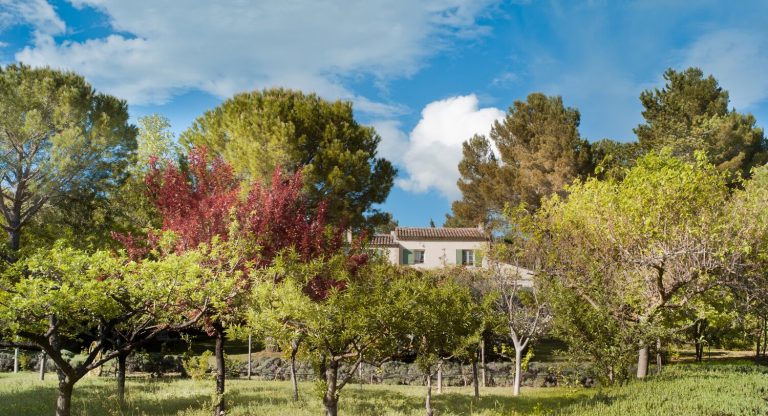 Villa_Maison_L'_Hirondelle_Provence_France