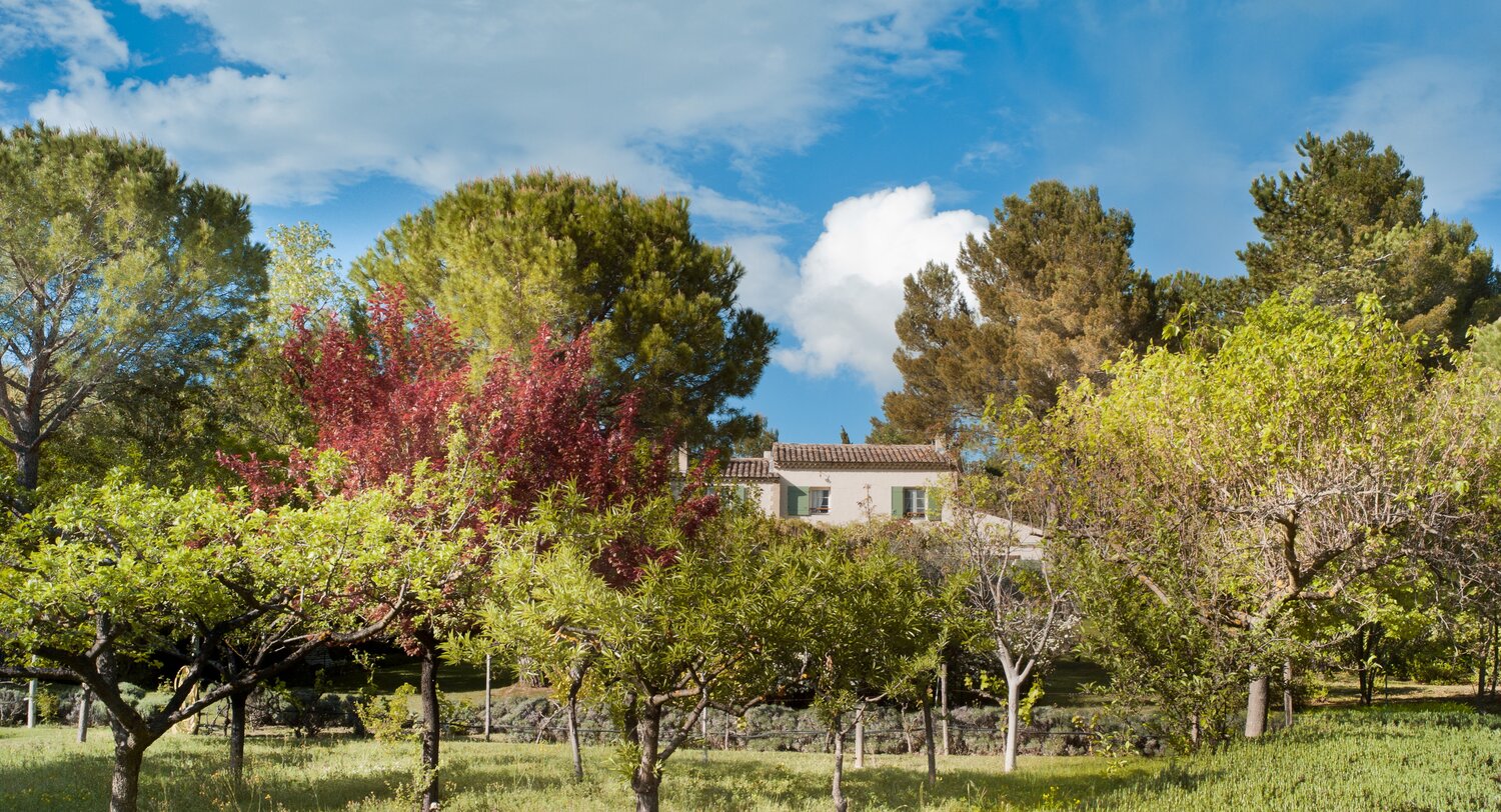 Villa_Maison_L'_Hirondelle_Provence_France
