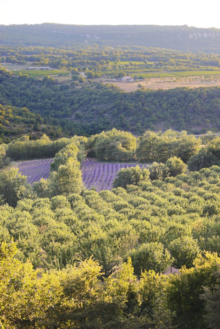 Villa_Mas_Saint_Martin_Provence_France9