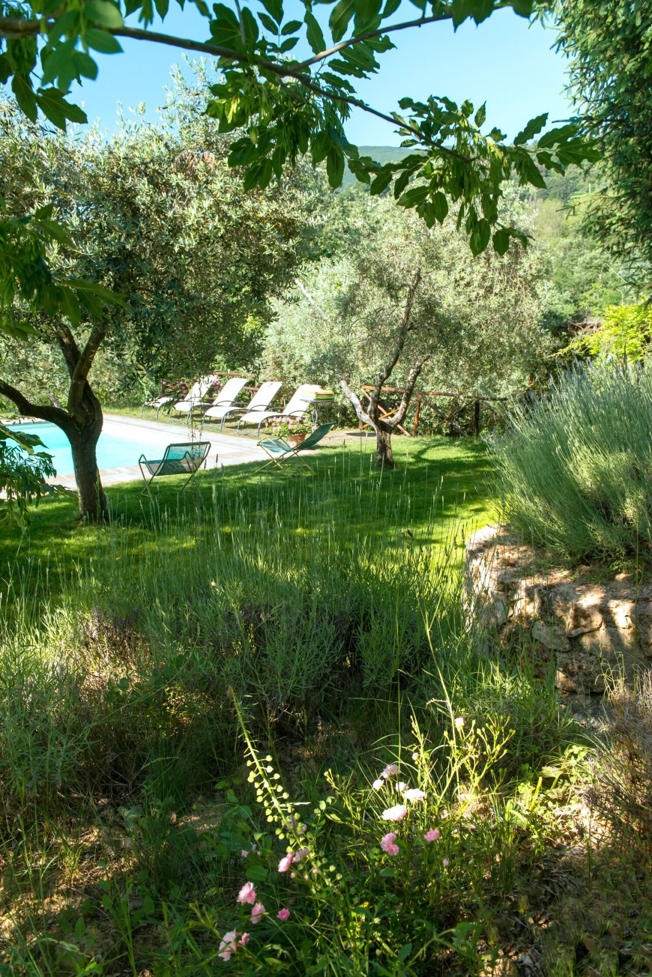 Casa_dei_Vini_Tuscany_Italy1rr