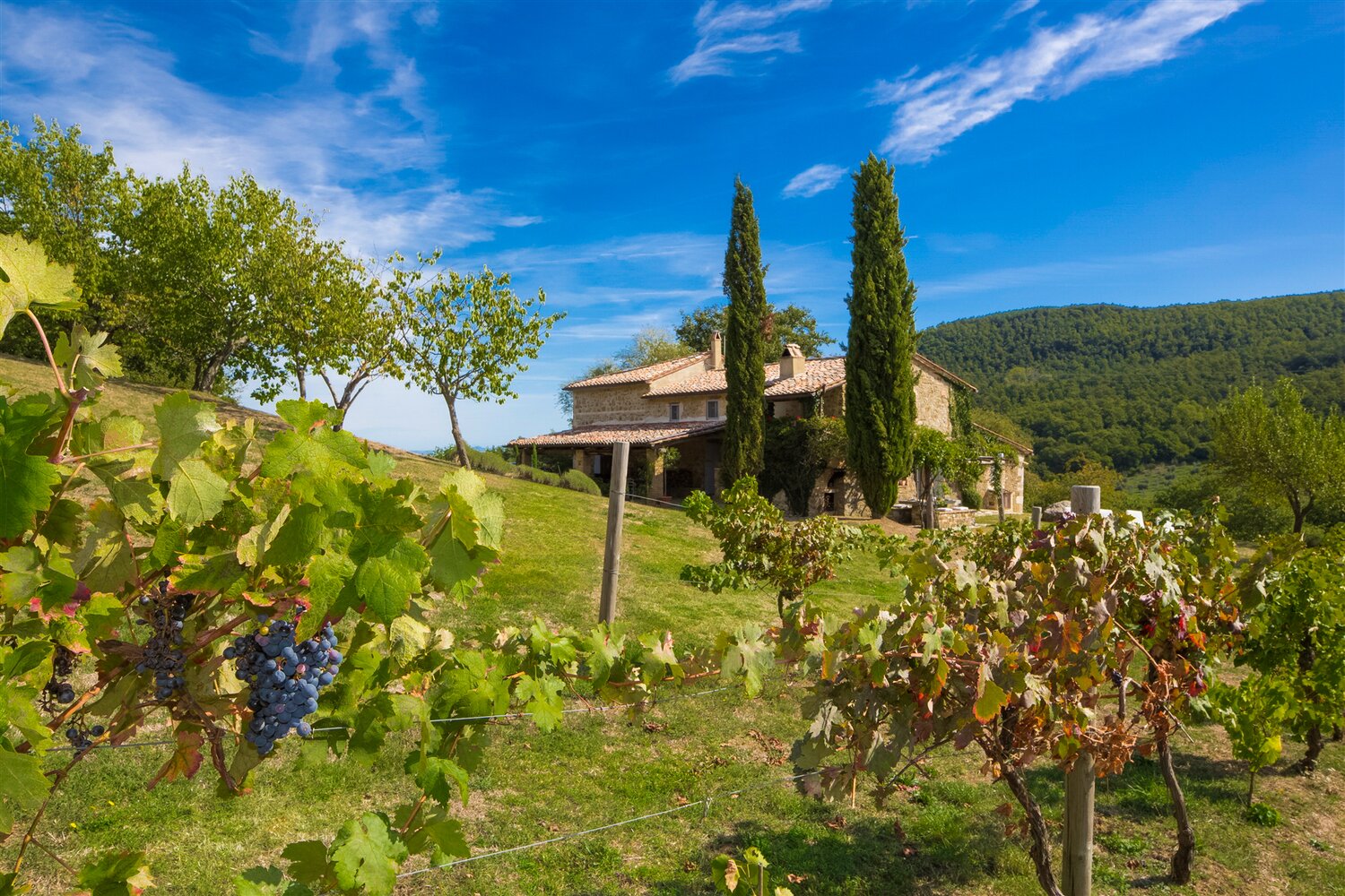 Podere_dei_Bagni_Tuscany_Italy1d