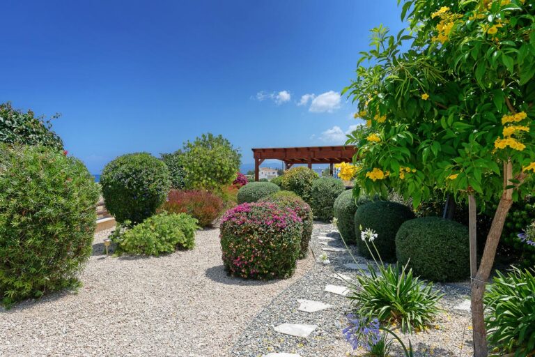 Pashiana – Cyprus