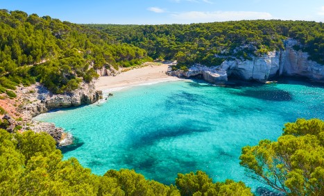 CALA N BOSCH 2