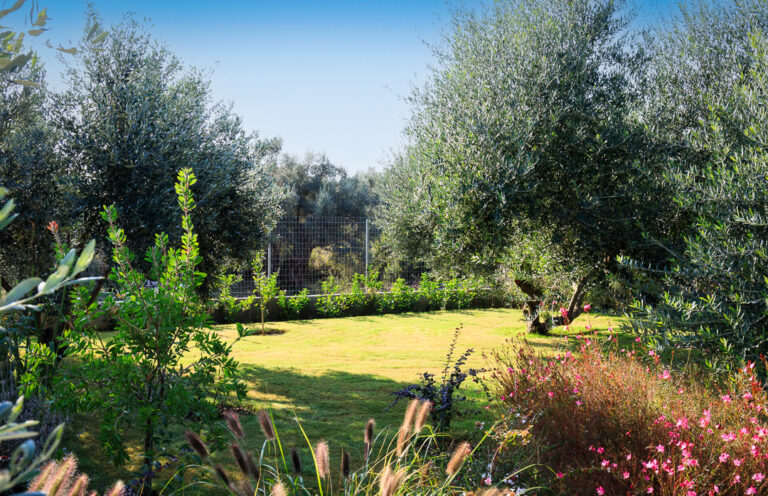 villa_harmonia_lygia_lefkada_1x