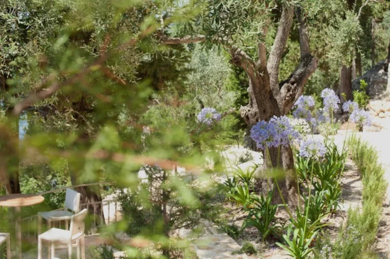 villa_nerou_agni_corfu_greece_8y