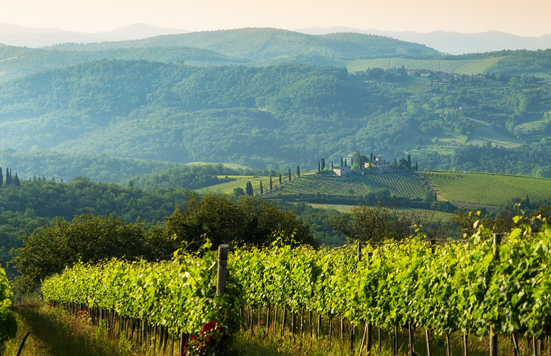 Villa_Da_Vinci_ Tuscany_Italy (6)