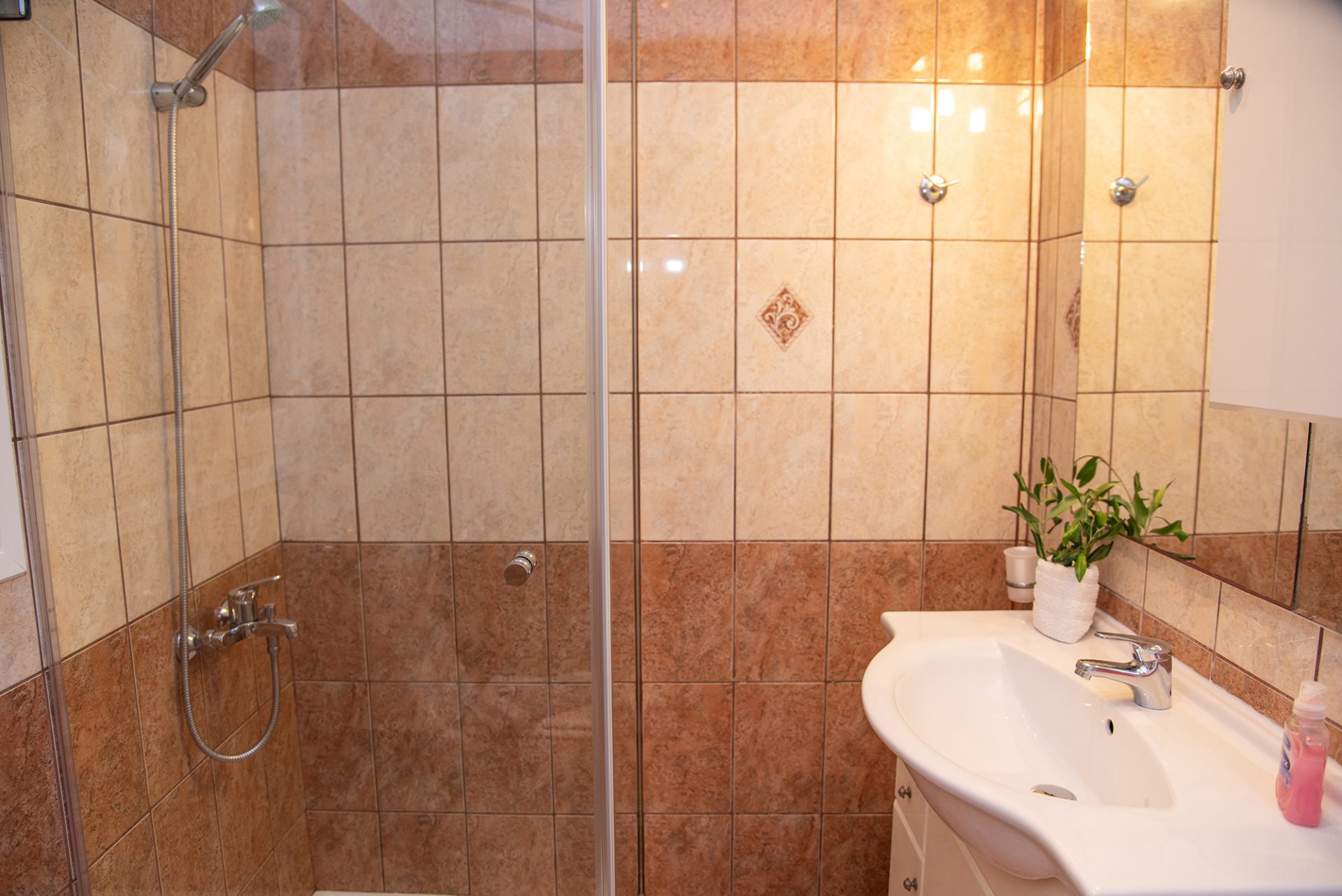 villa_sotiris_nisaki_corfu_greece (22)