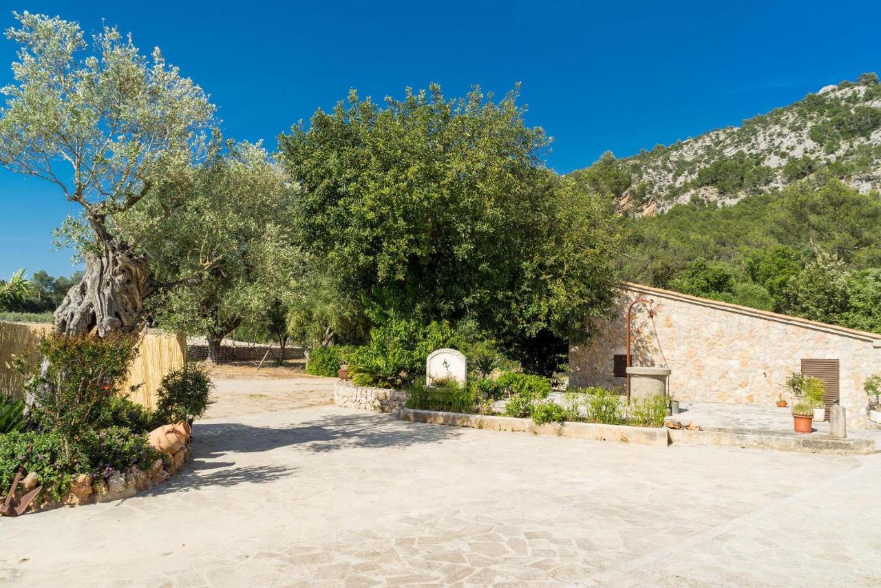 cadelpetit_villa_pollensa-mallorca_9