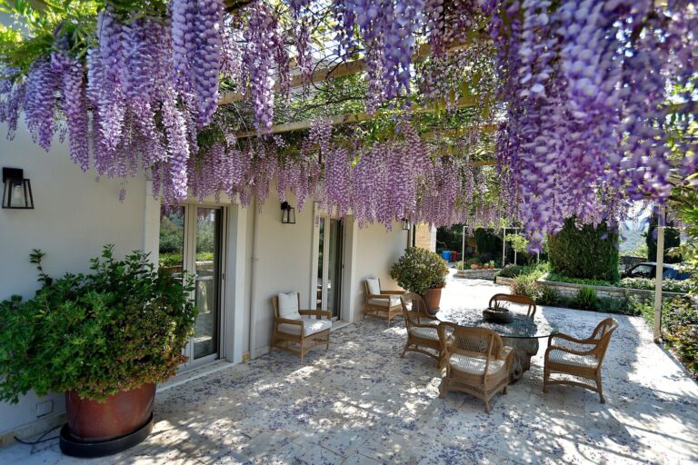 Villa_yalena- avlakibay-corfu-2ee